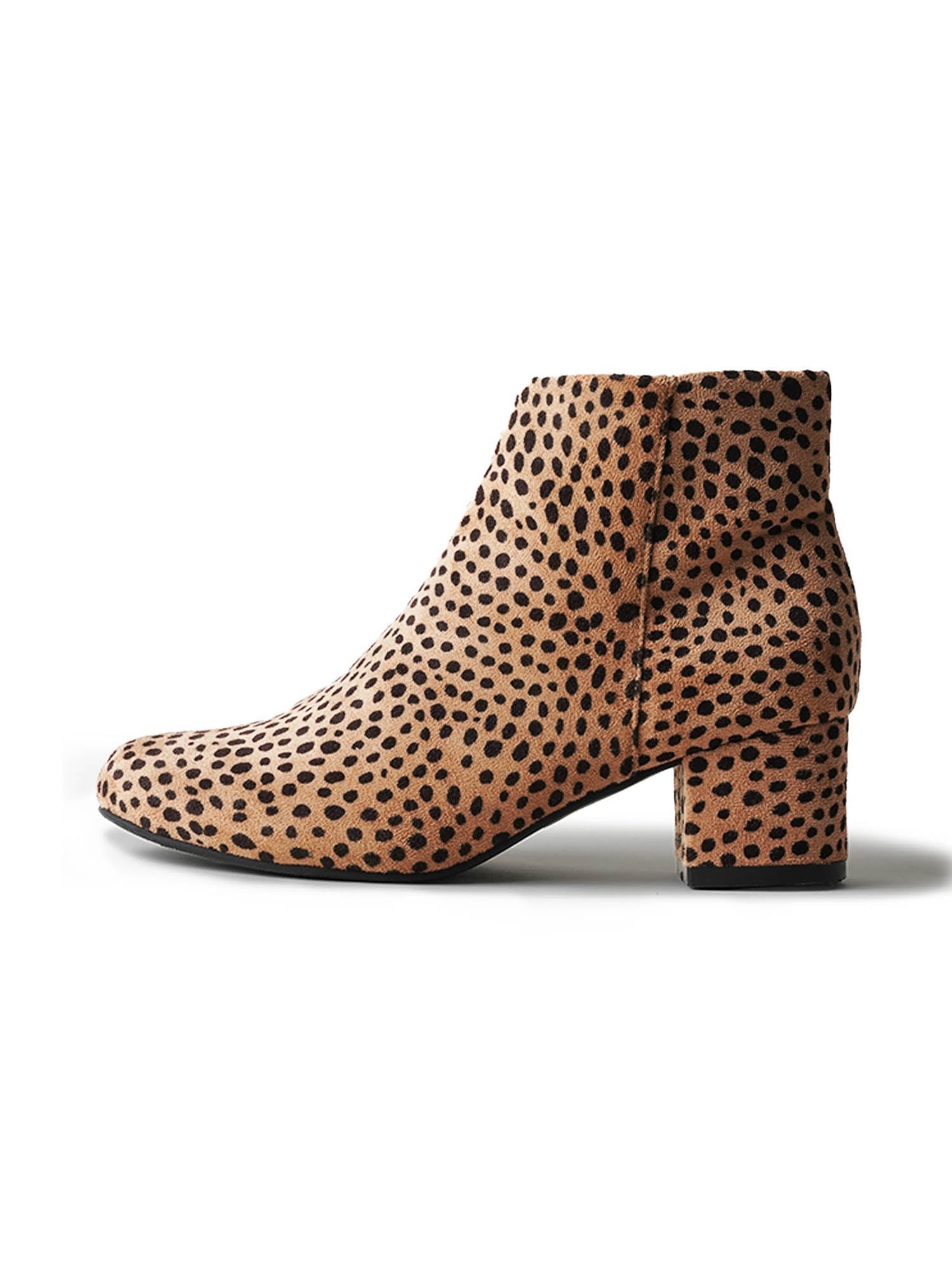 Jody | Cheetah