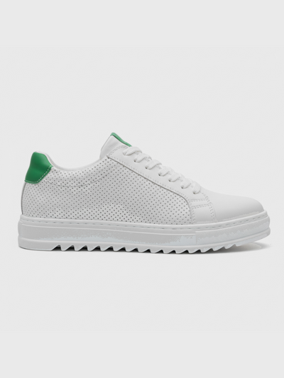 Men's Arion Verde