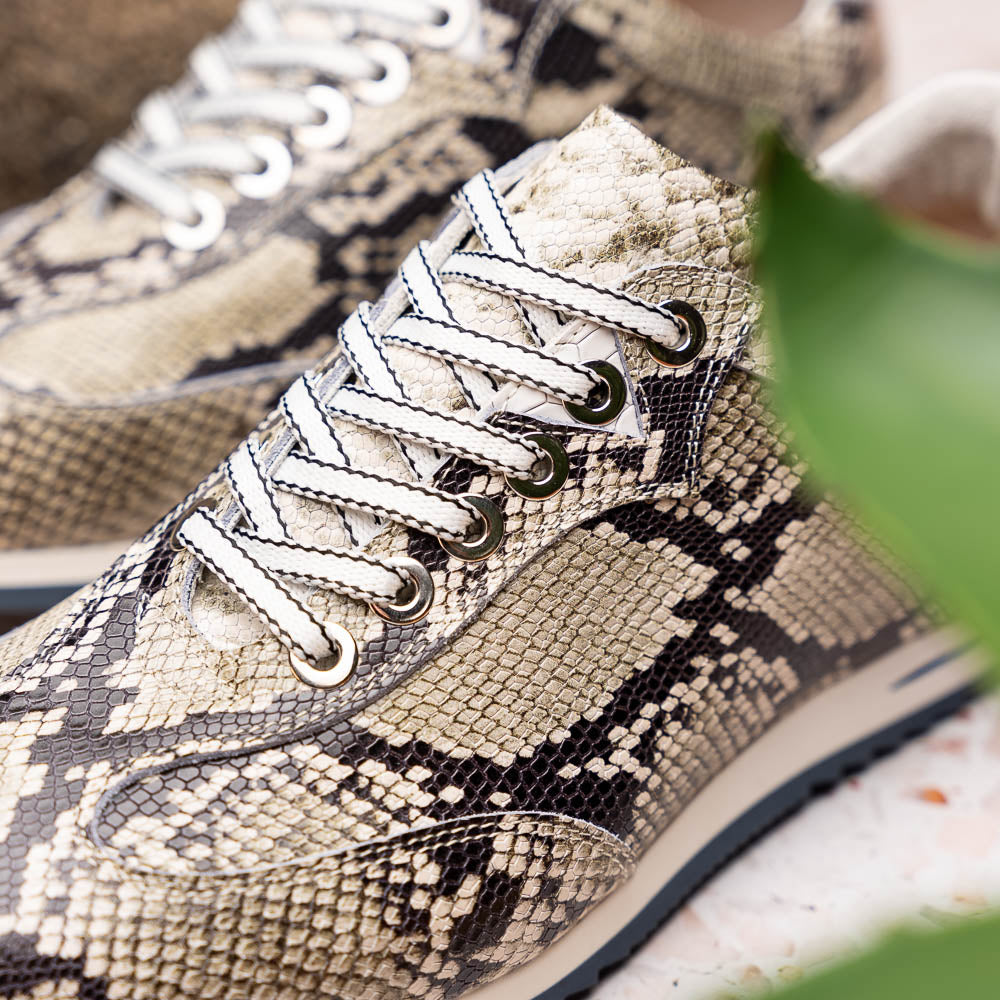Zelli Italia Men's 65-215-WHT PERI Python Embossed Italian Calfskin Sneakers Black / White
