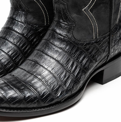 Phoenix Black