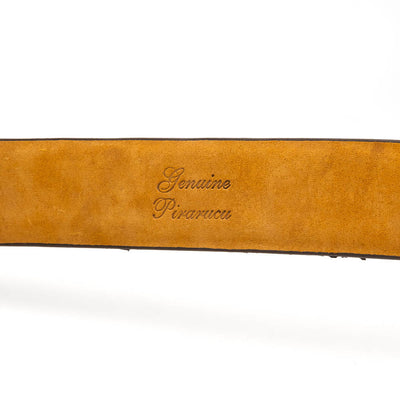 Olivieri Belt Newspaper