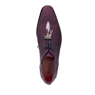 Rimini Purple
