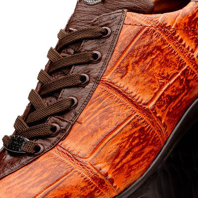Saulo Brandy / Brown