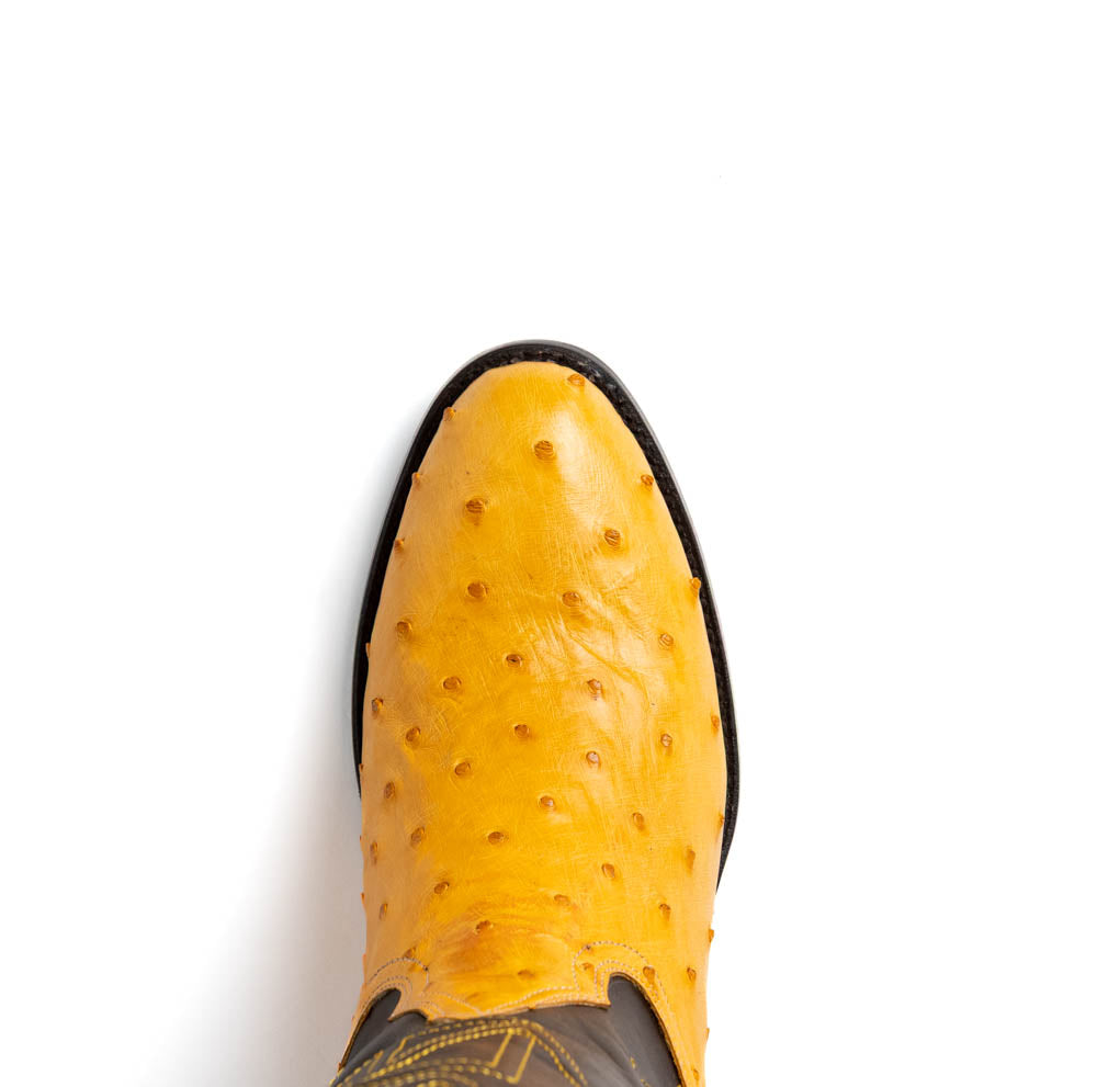 Marco Di Milano  Savannah Buttercup – product view 5