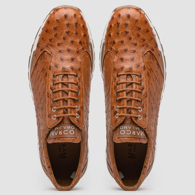 Scanno Antique Cognac