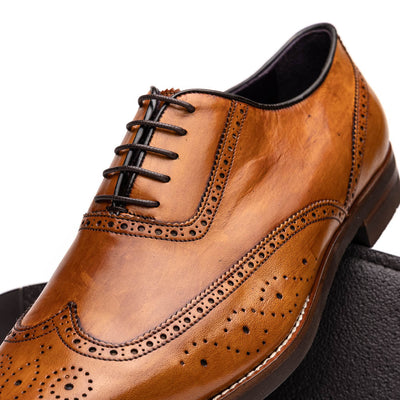 Zelli Italia Men's 25-562-CML STEPHANO Wingtip Oxford Camel