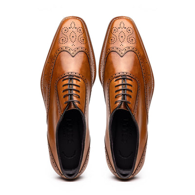 Zelli Italia Men's 25-562-CML STEPHANO Wingtip Oxford Camel