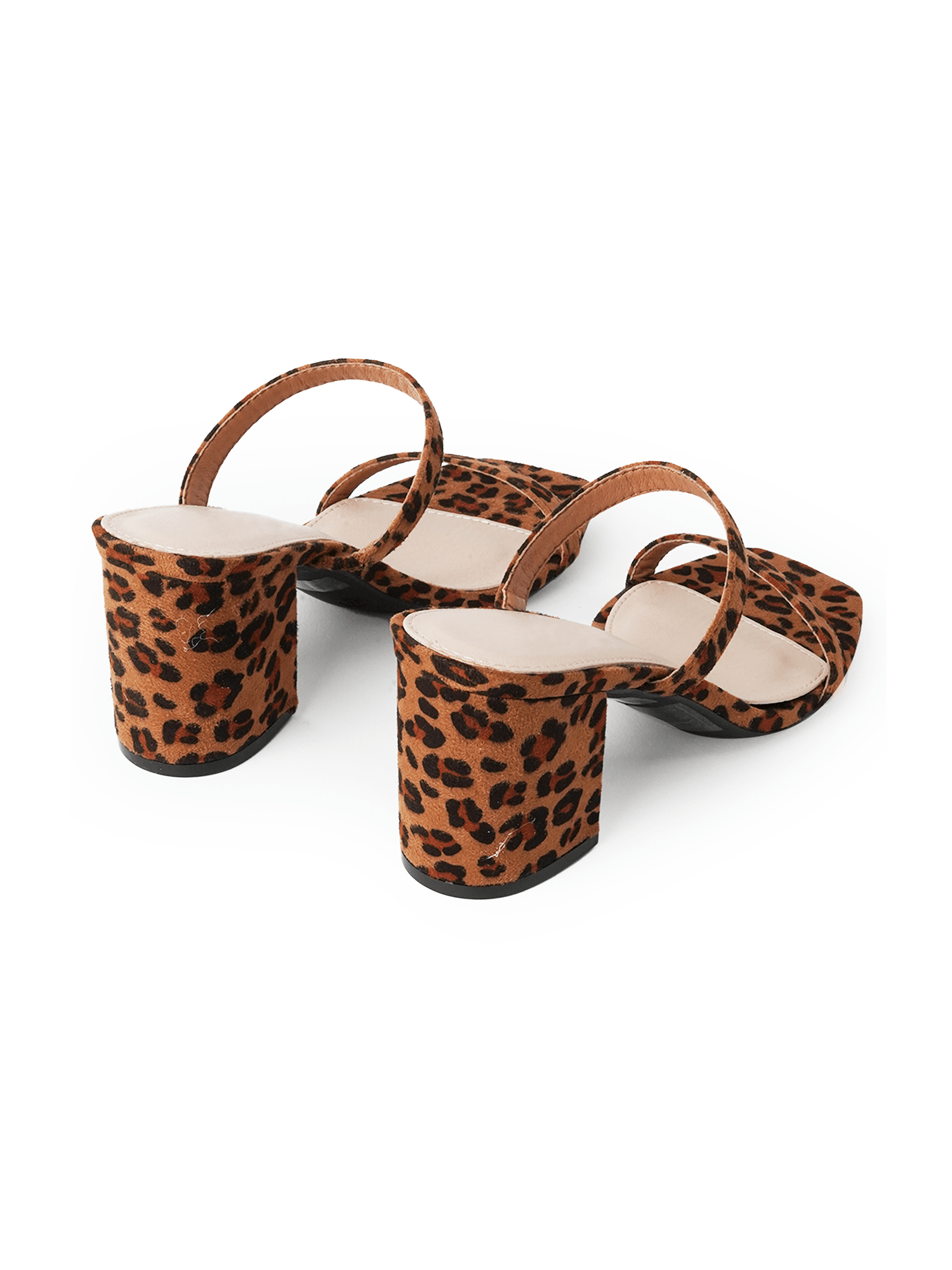 Stormi | Leopard