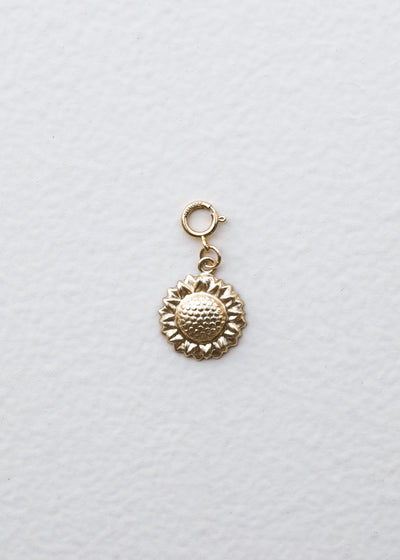 14K Gold Filled Charms