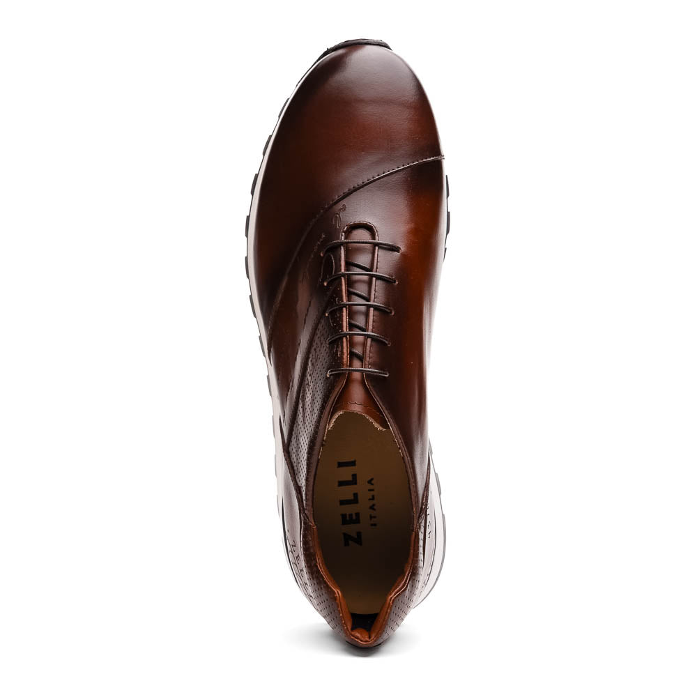 Zelli Italia Men's 65-395-BRN TESTO Italian Calfskin Sneaker Brown